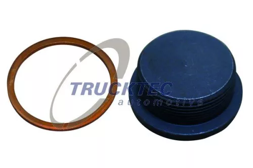 Screw Plug, crankcase