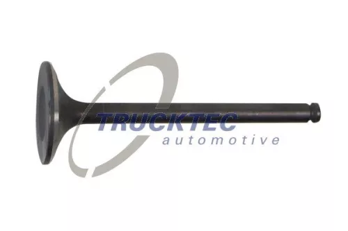 Intake Valve