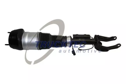 Air Suspension Strut