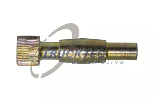 Brake Shoe Bolt