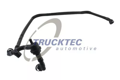 Hose, crankcase ventilation