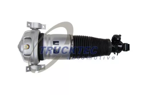 Air Suspension Strut