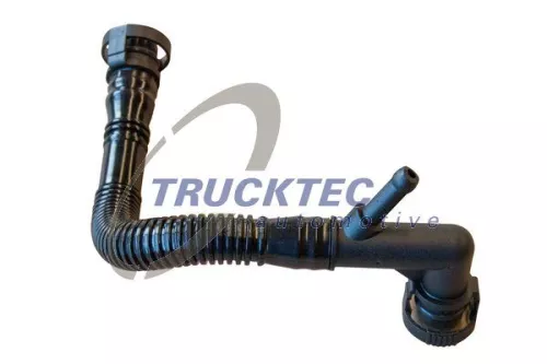 Hose, crankcase ventilation