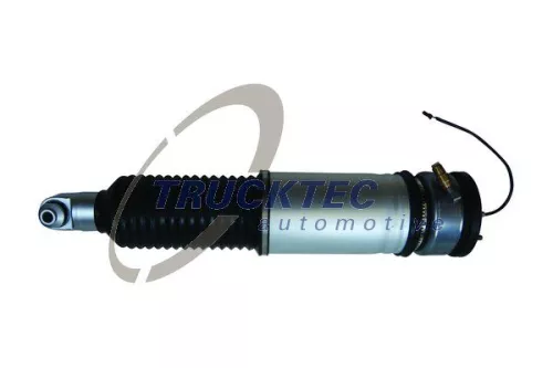 Air Suspension Strut