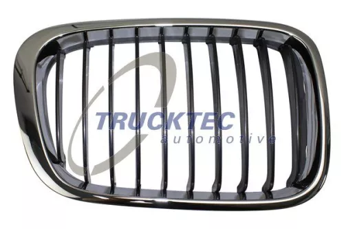 Radiator Grille