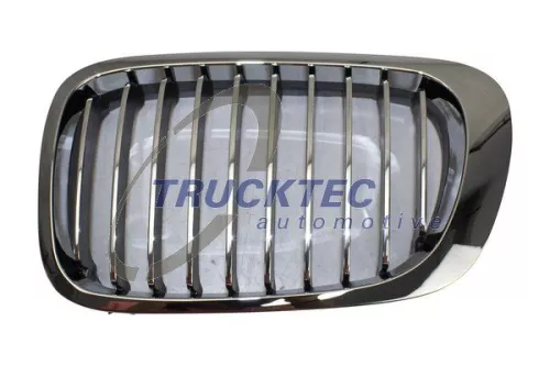 Radiator Grille