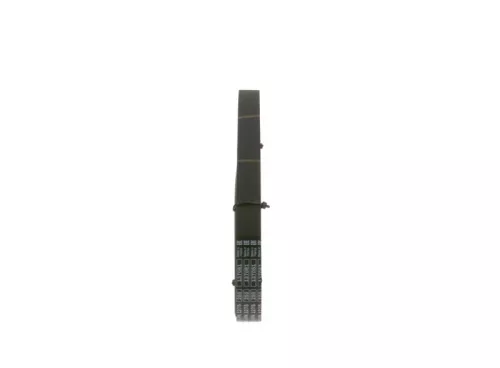 BOSCH V-Ribbed Belt (1987946016)