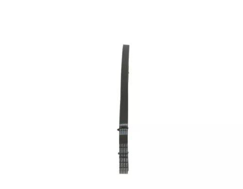 BOSCH V-Ribbed Belt (1987947832)