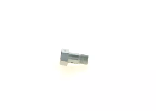 BOSCH Valve, injection system (1417413047)
