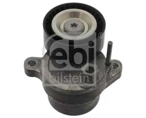 1x Belt Tensioner, V-ribbed belt