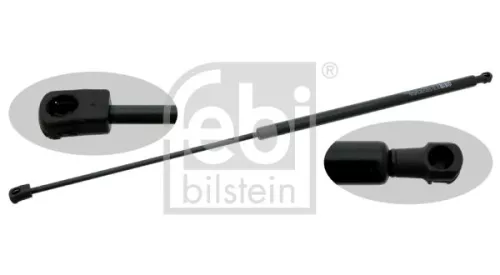 1x Gas Spring, bonnet