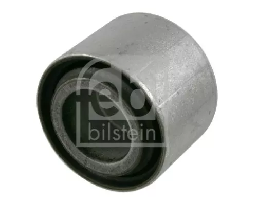 FEBI BILSTEIN 1x Mounting, differential (21765)