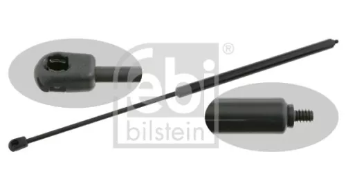 1x Gas Spring, bonnet