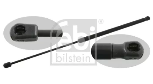 1x Gas Spring, bonnet