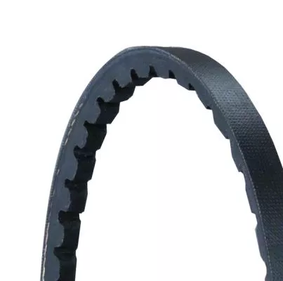 CONTINENTAL CTAM V-Belt (AVX10X1005)