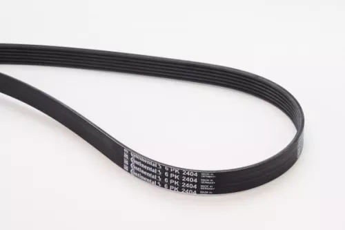 CONTINENTAL CTAM V-Ribbed Belt (6PK2404)