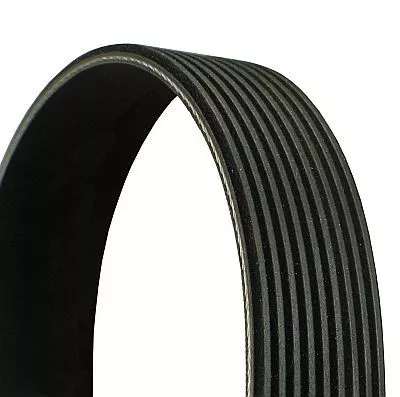 CONTINENTAL CTAM V-Ribbed Belt (9PK2835)