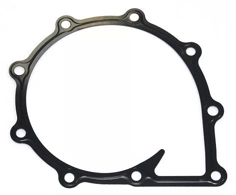 ELRING Gasket, water pump (021.250)