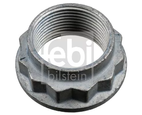 FEBI BILSTEIN 20x Nut, kingpin (01841)