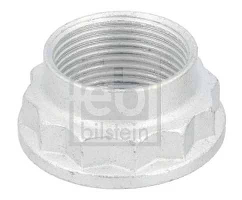 FEBI BILSTEIN 20x Nut, kingpin (02346)