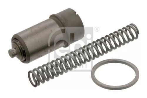 1x Tensioner, timing chain