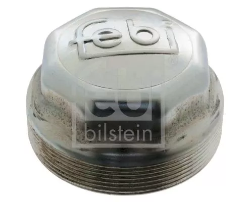 4x Cap, wheel bearing