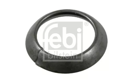 FEBI BILSTEIN 100x Retaining Ring, wheel rim (05901)