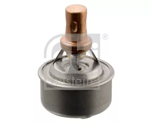 1x Thermostat, coolant