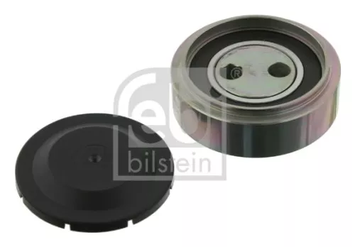 1x Tensioner Pulley, V-ribbed belt