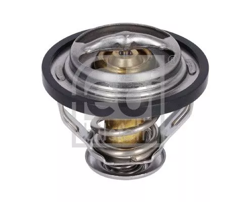 1x Thermostat, coolant