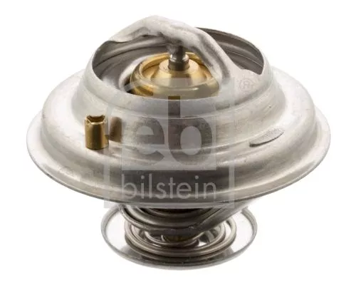 1x Thermostat, coolant