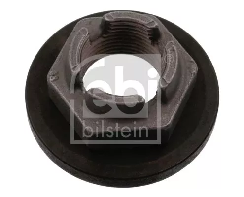 FEBI BILSTEIN 20x Nut, kingpin (18695)