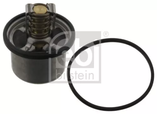 1x Thermostat, coolant