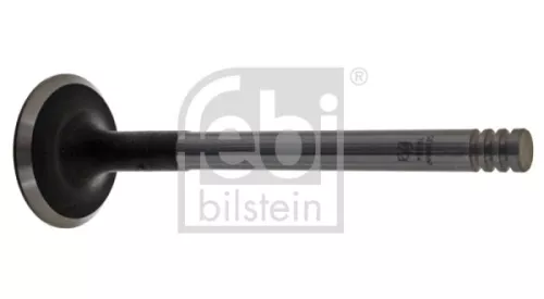 1x Intake Valve