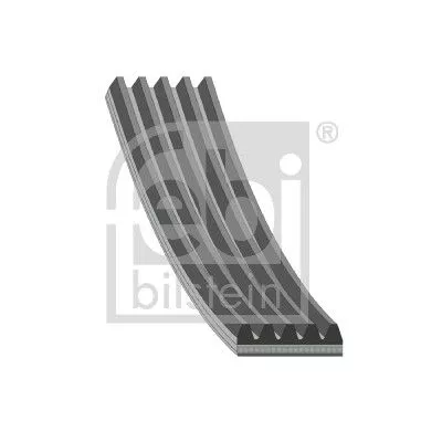 FEBI BILSTEIN 1x V-Ribbed Belt (28867)
