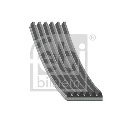 1x V-Ribbed Belt