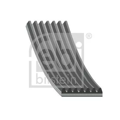 FEBI BILSTEIN 1x V-Ribbed Belt (29027)