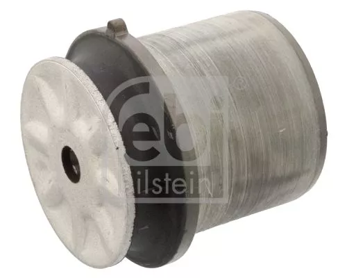 FEBI BILSTEIN 2x Bushing, axle beam (40800)