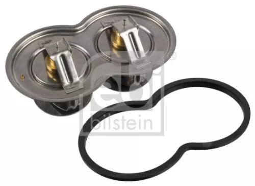 1x Thermostat, coolant