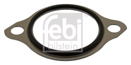 1x Seal, thermostat