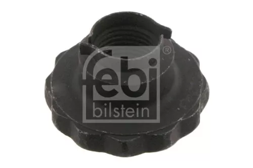 FEBI BILSTEIN 1x Nut, kingpin (46689)