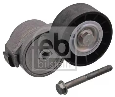 1x Belt Tensioner, V-ribbed belt