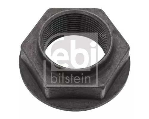 FEBI BILSTEIN 1x Nut, kingpin (100348)