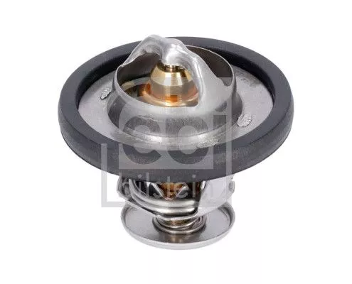 1x Thermostat, coolant