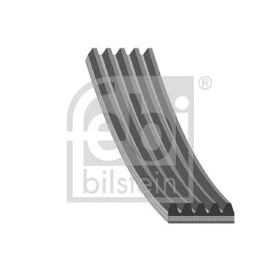 FEBI BILSTEIN 1x V-Ribbed Belt (176318)