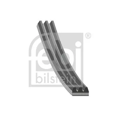 1x V-Ribbed Belt
