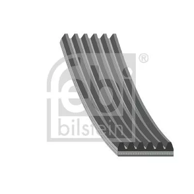 FEBI BILSTEIN 1x V-Ribbed Belt (177991)