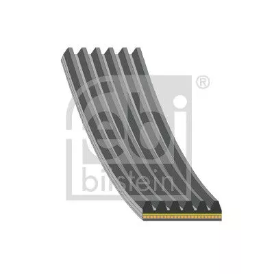 FEBI BILSTEIN 1x V-Ribbed Belt (182097)