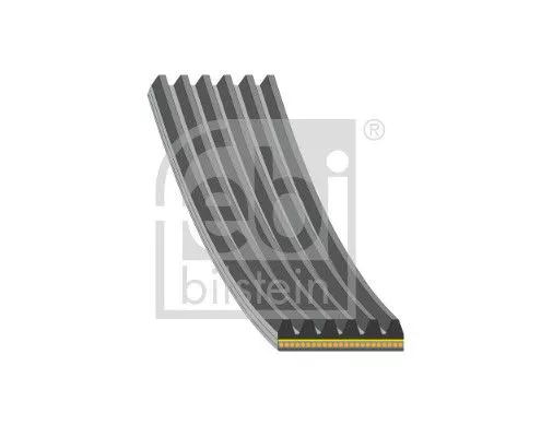 FEBI BILSTEIN 1x V-Ribbed Belt (184943)