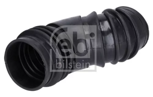 FEBI BILSTEIN 1x Hose, air supply (188176)
